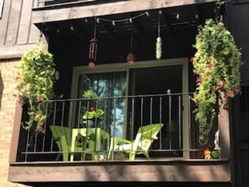Patio or Balcony